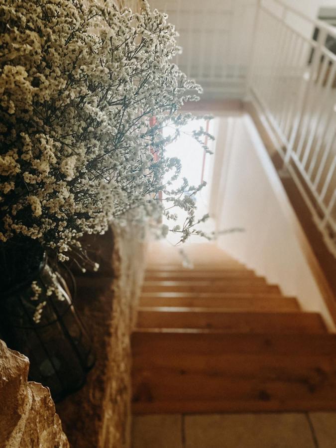 B&B Marnudd Bisceglie Exterior foto