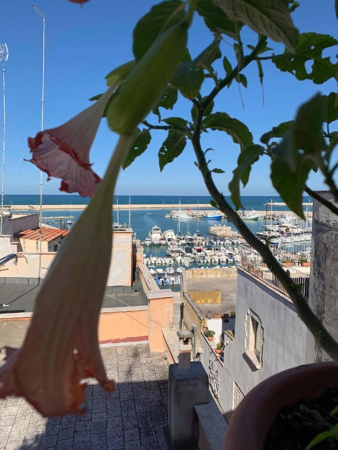 B&B Marnudd Bisceglie Exterior foto